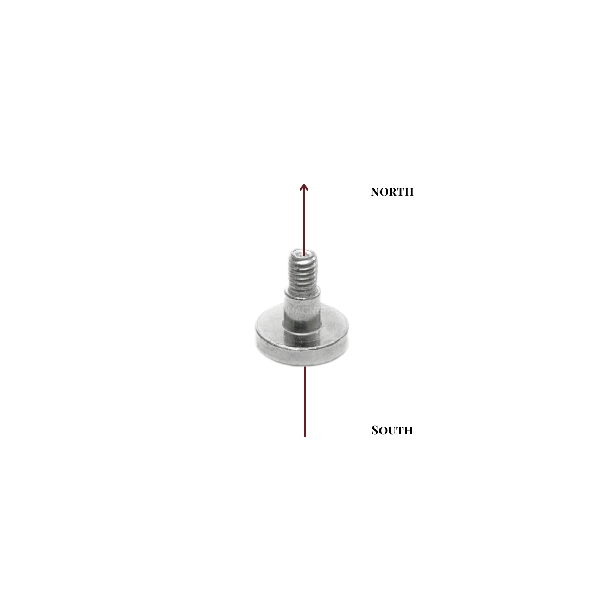 Magnet Estore Magnet Store | 12mm Pot Magnet M4 External Thread N42 | South Africa ...