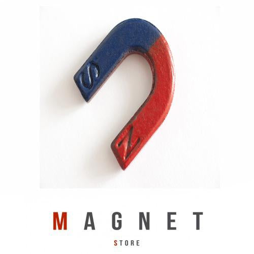 Horse Shoe Magnet U22x20x4mm Mark NS with red & blue